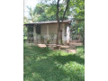 land-for-sale-in-kurunegala-small-2