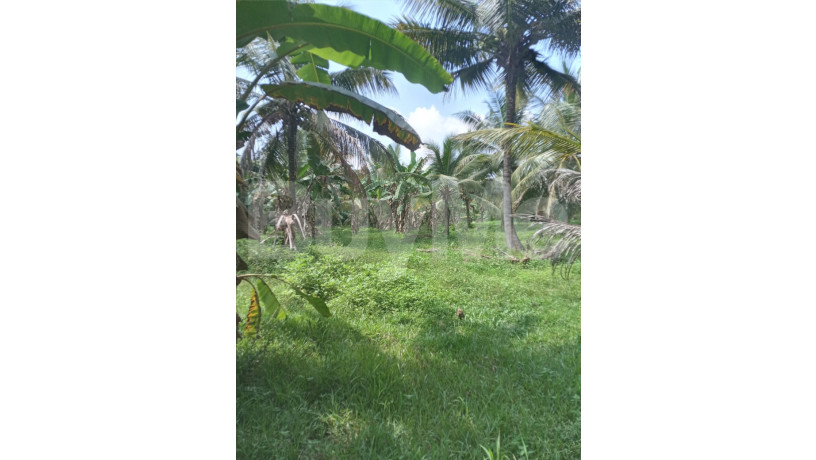 land-for-sale-in-kurunegala-big-7