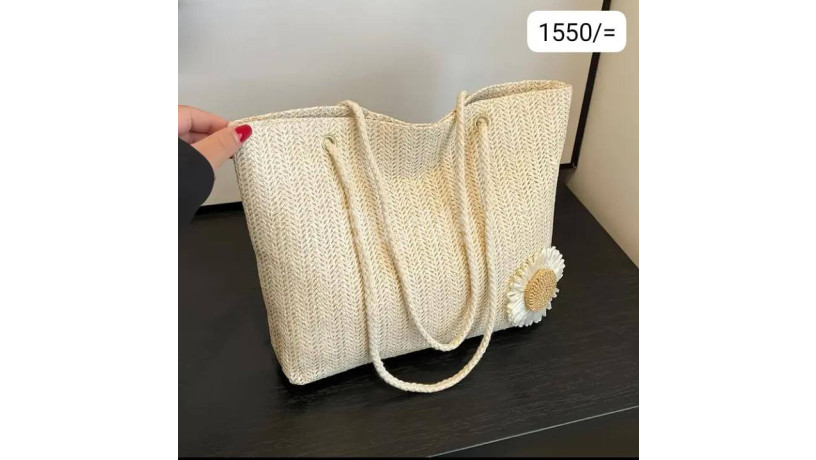 ladies-handbags-big-0