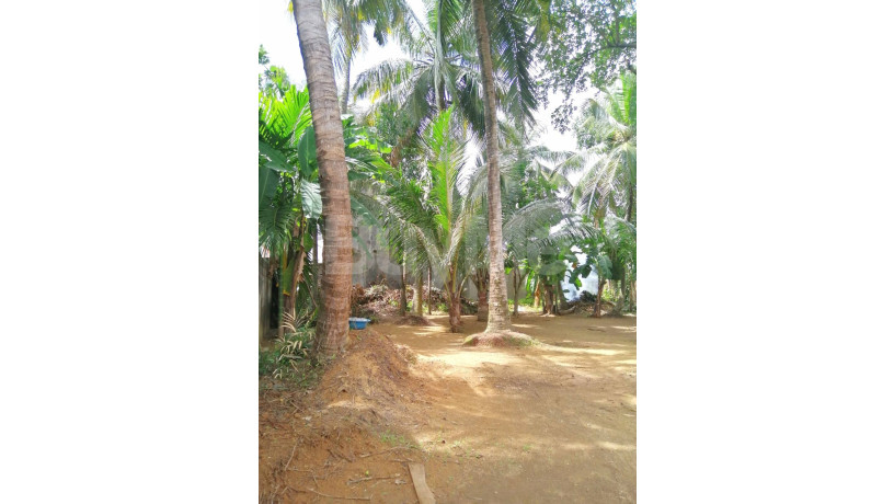 land-for-sale-in-kelaniya-big-3