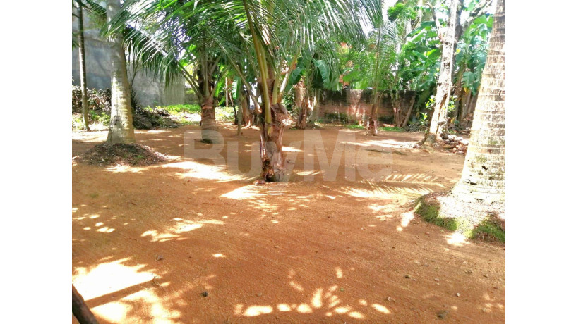 land-for-sale-in-kelaniya-big-0