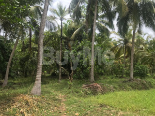 LAND FOR SALE IN NAGOLLAGAMA, MAHO