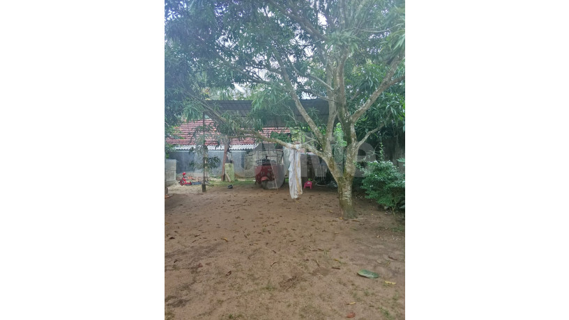 land-with-house-for-sale-in-mirigama-big-1