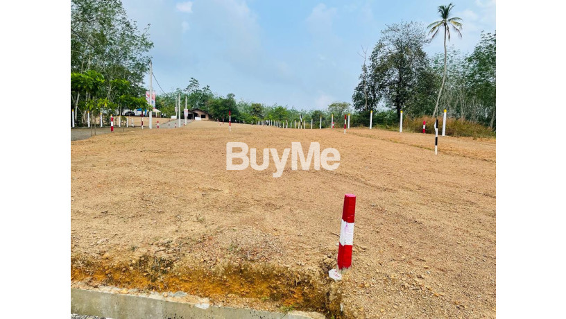 residential-land-for-sale-at-welipenna-kalutara-big-3