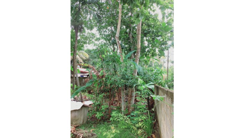 land-for-sale-in-panadura-big-4