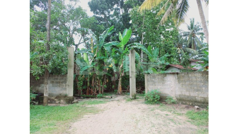 land-for-sale-in-panadura-big-2
