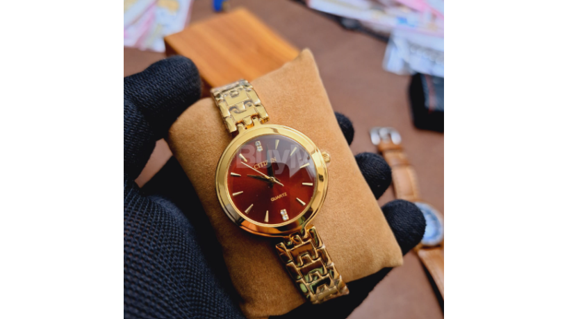 citizens-ladies-gold-watch-brown-dial-big-0