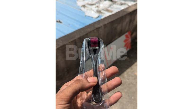 derma-roller-big-2