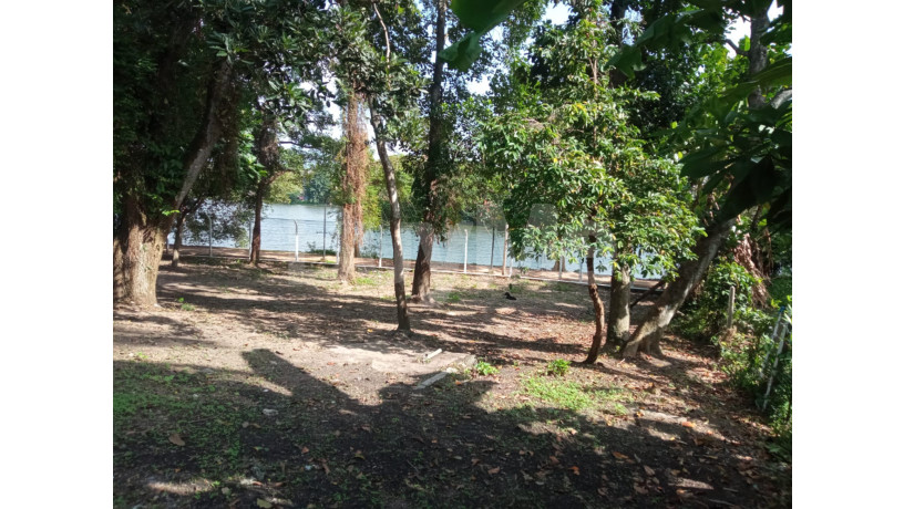 land-for-sale-at-boralasgamuwa-over-looking-the-lake-big-0