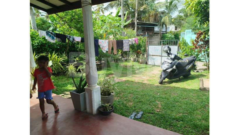 land-with-house-for-sale-in-panadura-keselwatta-big-7