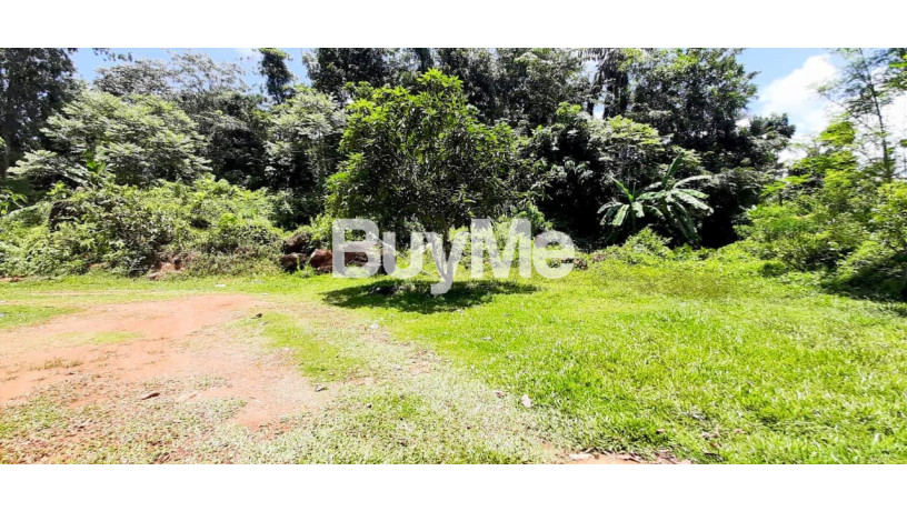 holiday-resort-for-sale-in-kalutara-nagoda-big-4