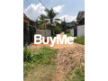 land-for-sale-in-mahabellana-panadura-small-3