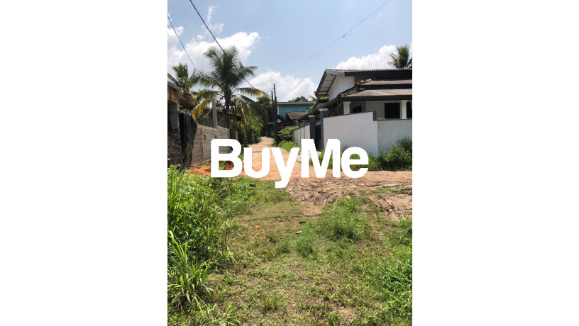land-for-sale-in-mahabellana-panadura-big-2