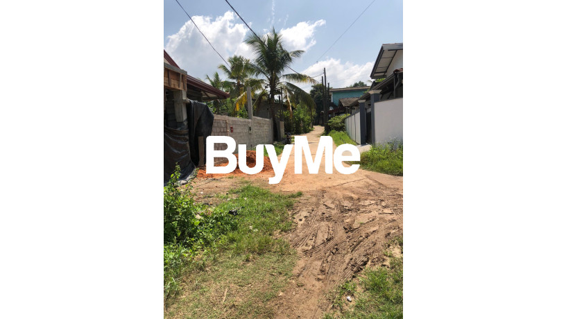 land-for-sale-in-mahabellana-panadura-big-3