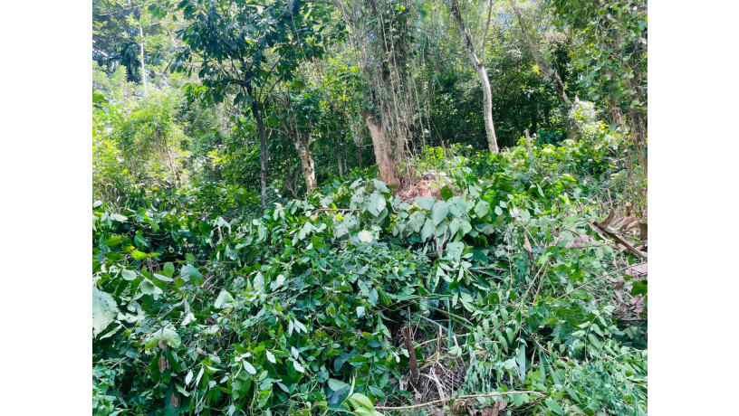 land-for-sale-in-kandy-big-5