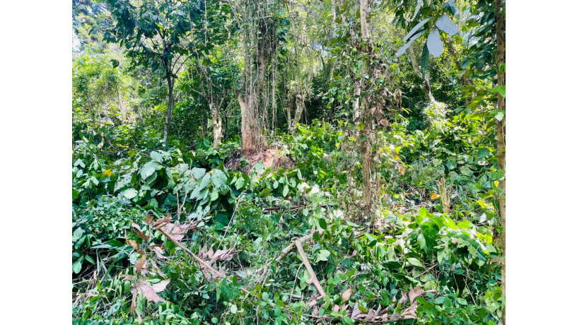 land-for-sale-in-kandy-big-3