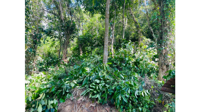 land-for-sale-in-kandy-big-4