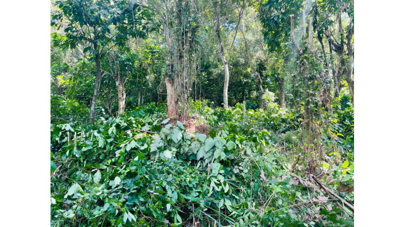 land-for-sale-in-kandy-big-1