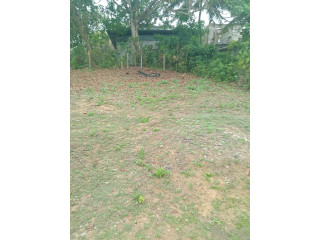 LAND FOR SALE IN HOMAGAMA