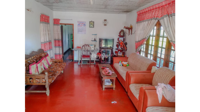 house-for-sale-in-gampola-with-tea-land-urgent-sale-big-5