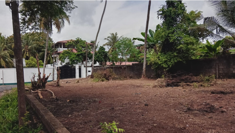 land-for-sale-in-thalawathugoda-big-3