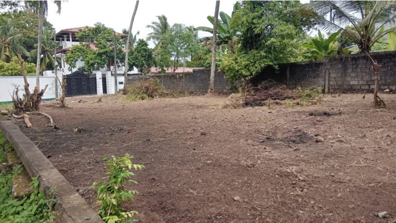 land-for-sale-in-thalawathugoda-big-0
