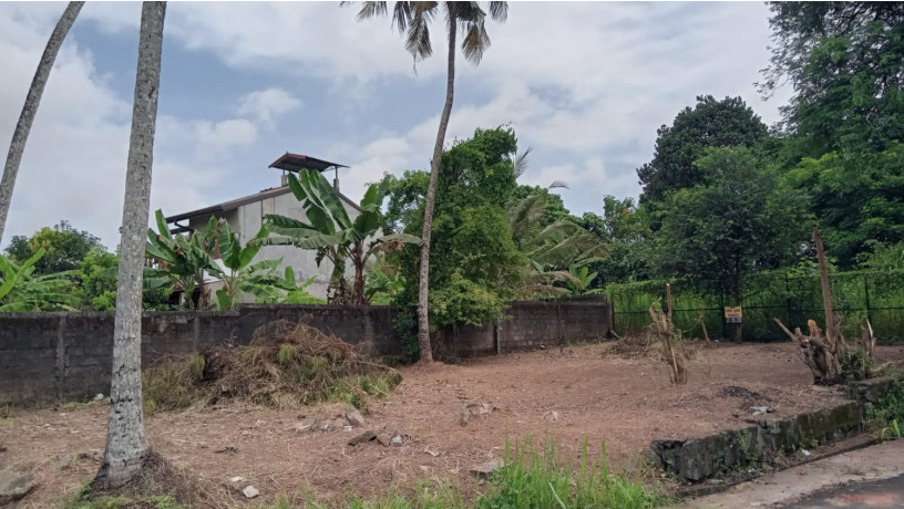 land-for-sale-in-thalawathugoda-big-1