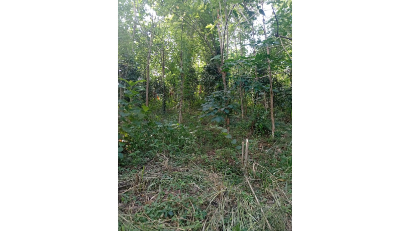 land-with-house-for-sale-in-moneragala-big-2