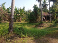 land-for-sale-in-minuwangoda-small-3