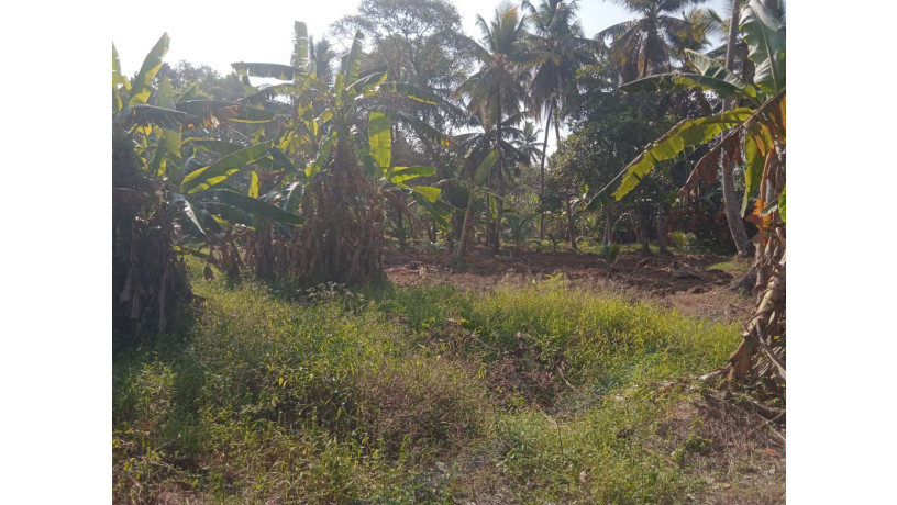 land-for-sale-in-minuwangoda-big-2