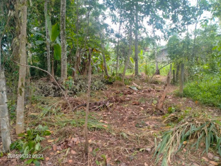 LAND FOR SALE IN PANADURA