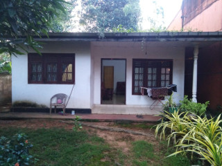 කොට්ටාව නගරයේ පර්චස් 10ක අගනා ඉඩමක් විකිණීමට
