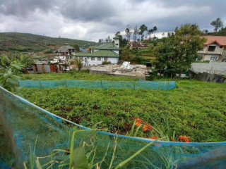 PRIME PROPERTY IN NUWARA ELIYA..