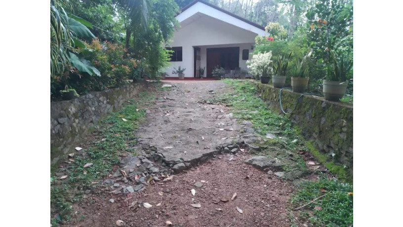 land-and-house-for-sale-in-horana-big-0