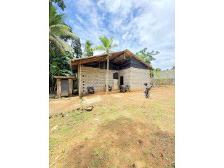 LAND WITH HOUSE FOR SALE IN PADUKKA