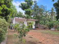 house-for-sale-in-gampaha-small-1