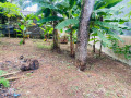 land-for-sale-in-kadawatha-small-6