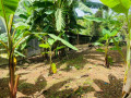 land-for-sale-in-kadawatha-small-1