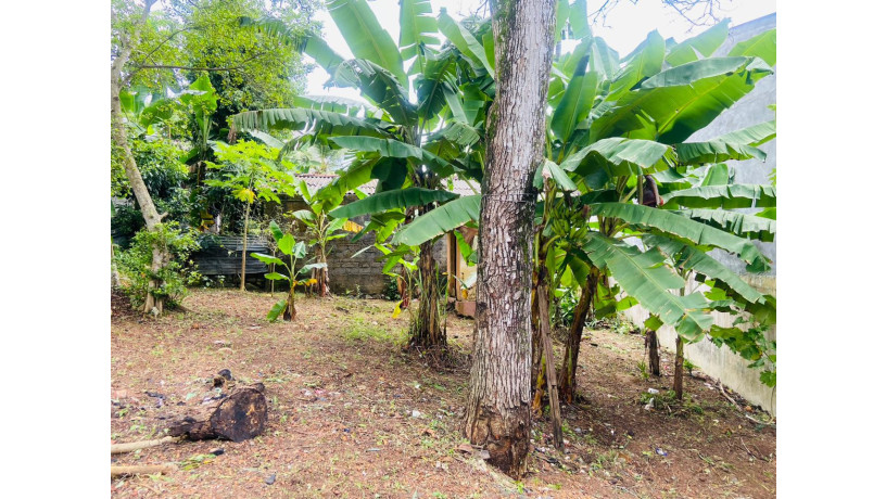 land-for-sale-in-kadawatha-big-5
