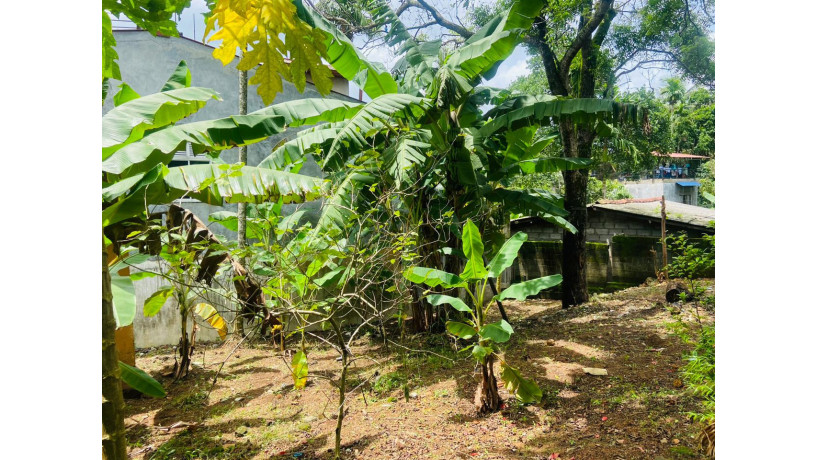 land-for-sale-in-kadawatha-big-0