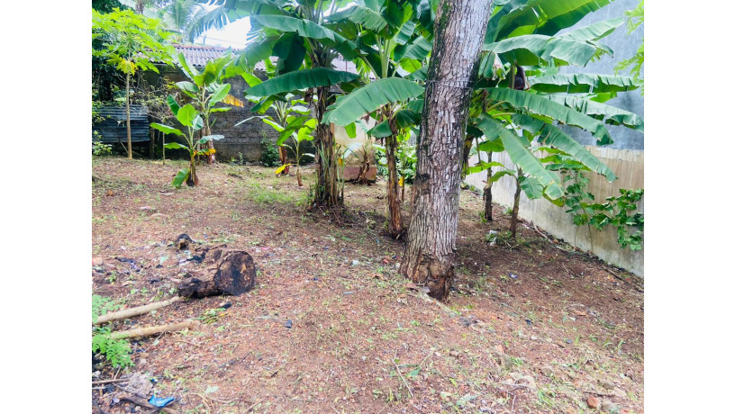 land-for-sale-in-kadawatha-big-6