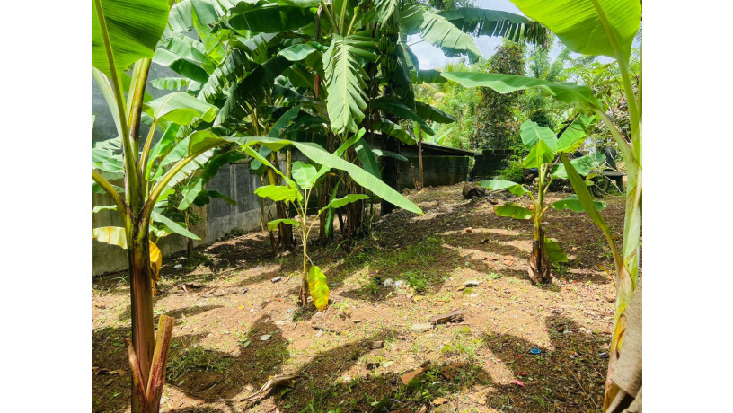 land-for-sale-in-kadawatha-big-1