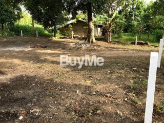 LAND FOR SALE IN BORELLA, PANNIPITIYA RD