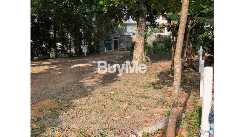 land-for-sale-in-borella-pannipitiya-rd-big-1