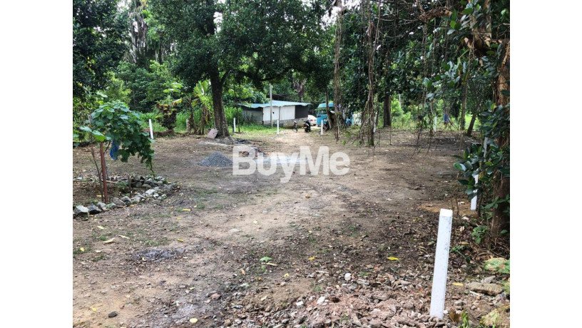 land-for-sale-in-borella-pannipitiya-rd-big-3