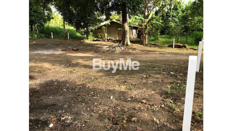 land-for-sale-in-borella-pannipitiya-rd-big-0