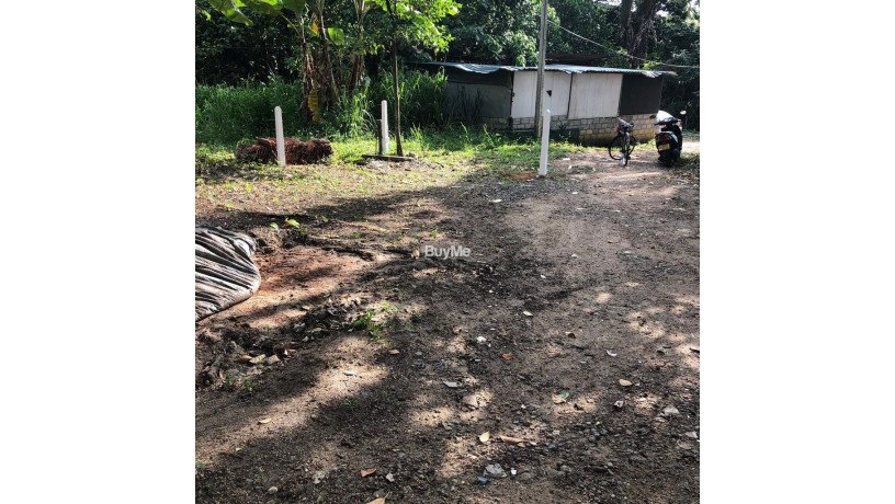 land-for-sale-in-borella-pannipitiya-rd-big-6