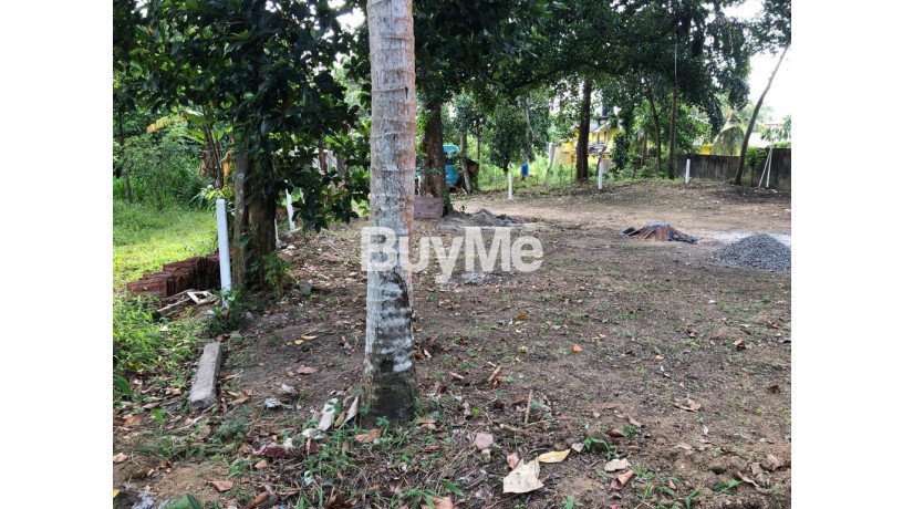 land-for-sale-in-borella-pannipitiya-rd-big-5