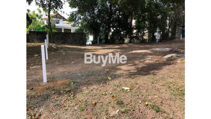 land-for-sale-in-borella-pannipitiya-rd-big-2