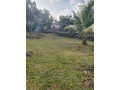 land-for-sale-in-bandaragama-small-1